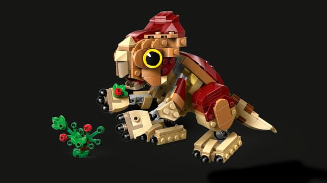 Baby Dinosaur Dolores: Aquilops - Image 10