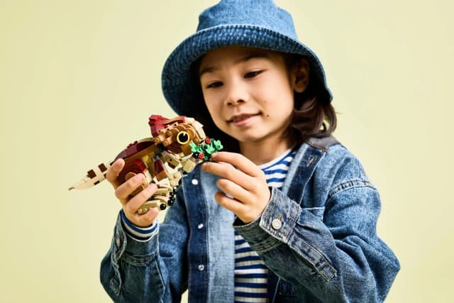 Baby Dinosaur Dolores: Aquilops - Image 11
