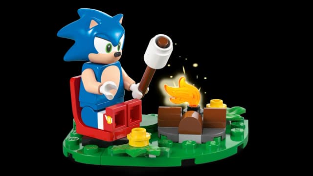 Sonic's Campfire Clash - Image 5