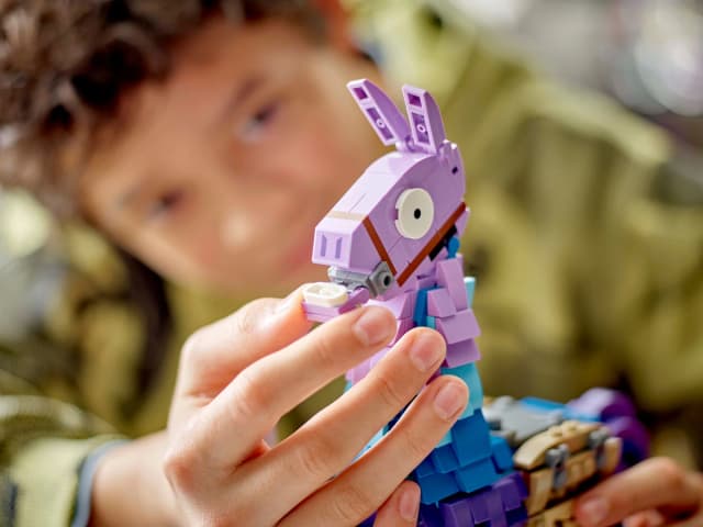 Supply Llama - Image 4