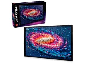 The Milky Way Galaxy